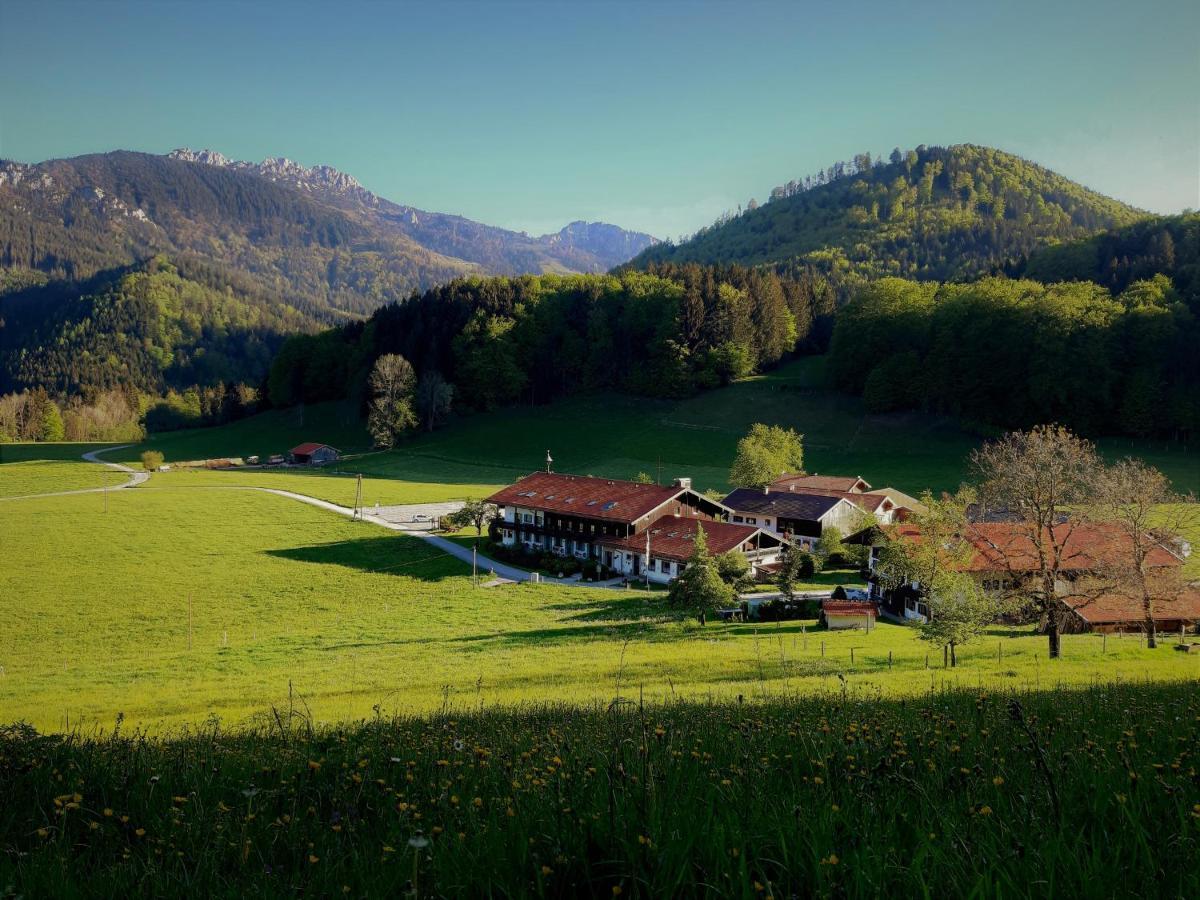 Gschwendtnerhof App10 Krausw Apartment Aschau im Chiemgau Exterior photo